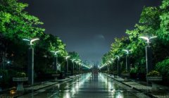 世紀公園和徐匯濱江跑道升級 更規(guī)范和人性化[圖]